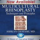 Multicultural Rhinoplasty Techniques and Principles